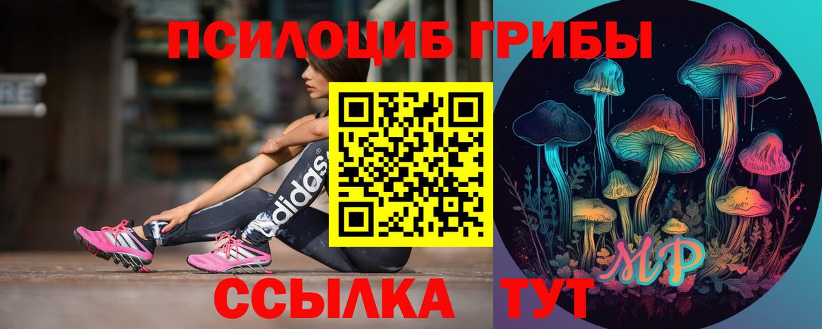 Йошкар-Ола  Галлюциногенные грибы GOLDEN TEACHER  Галлюциногенные грибы GOLDEN TEACHER  Вход с VPN 